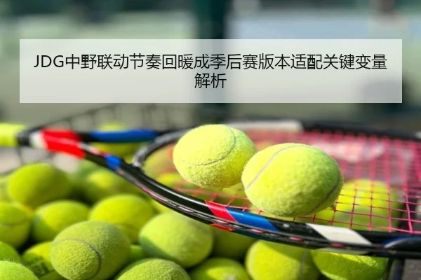 JDG中野联动节奏回暖成季后赛版本适配关键变量解析