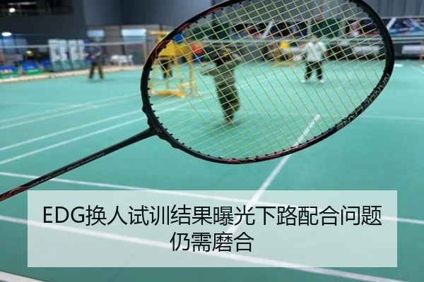 EDG换人试训结果曝光下路配合问题仍需磨合