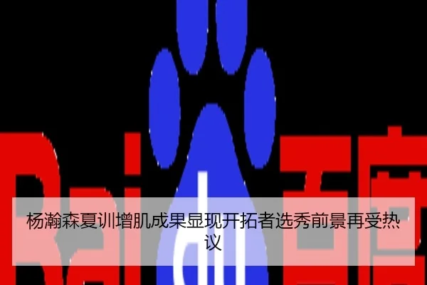 杨瀚森夏训增肌成果显现开拓者选秀前景再受热议